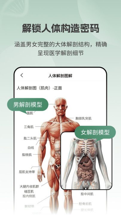 解剖模型Body软件手机版下载?2: