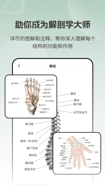 解剖模型Body软件手机版下载图片1