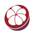 山竹IM app