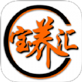 宝养汇商家版app