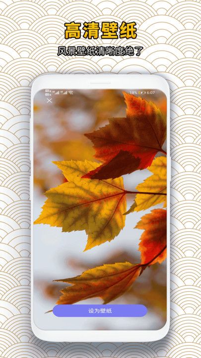 壁纸蛙app下载官方版图片1