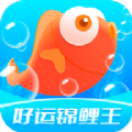 好运锦鲤王