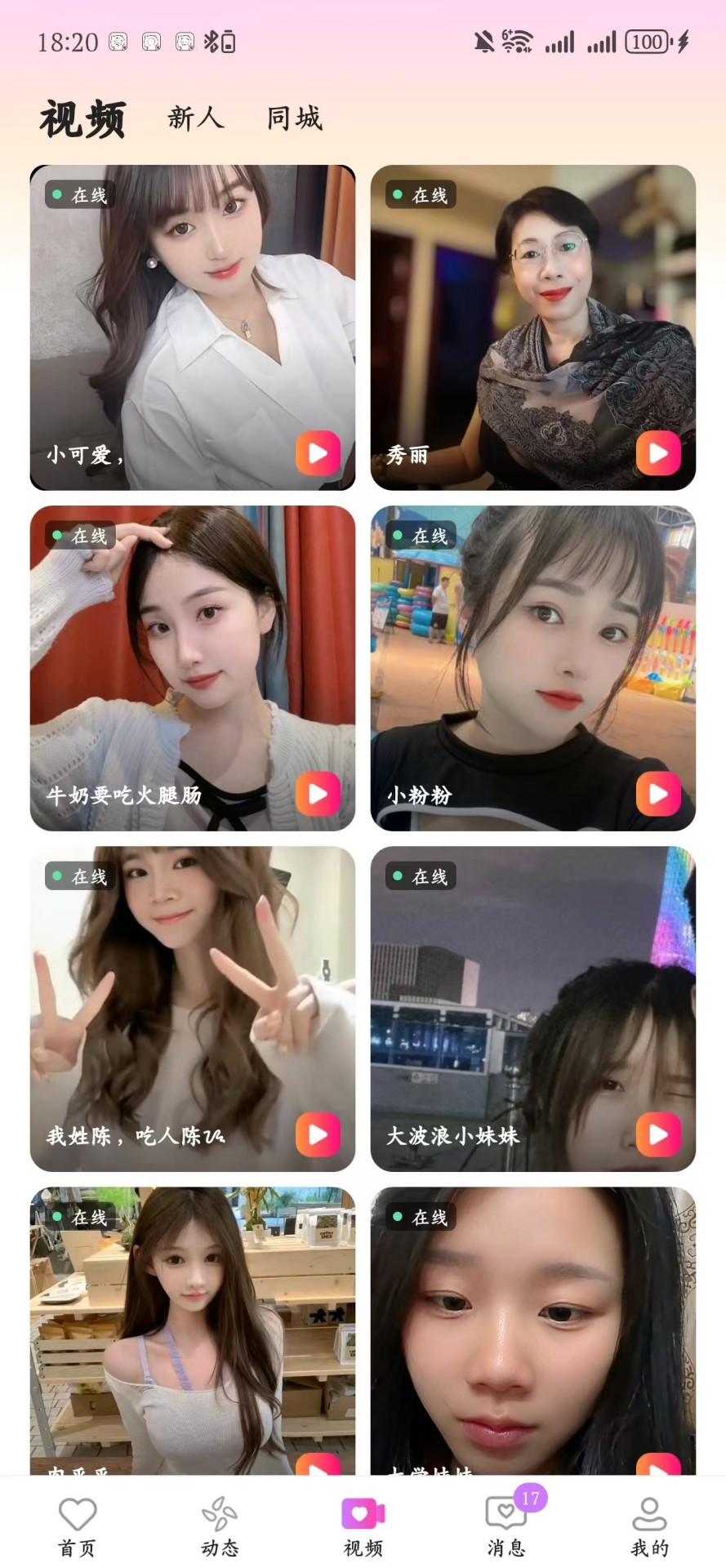 心鸢交友软件下载最新版图片1