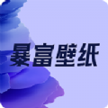 暴富壁纸 v1.0.3安卓版下载