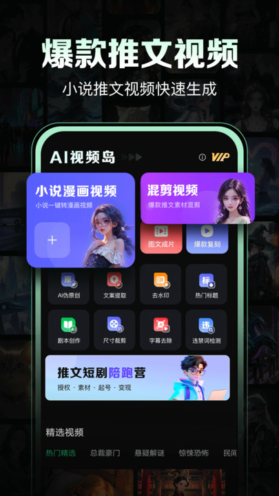 AI视频岛官方版app下载安装?2: