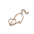 缘梦影视