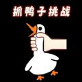 抓鸭子挑战