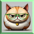 猫大爷看剧