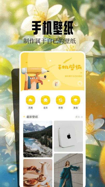 桌面壁纸精灵软件图1