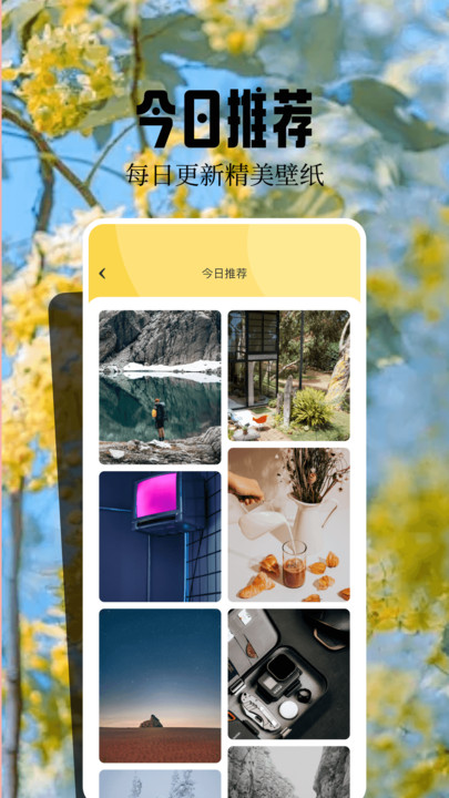 桌面壁纸精灵软件图2