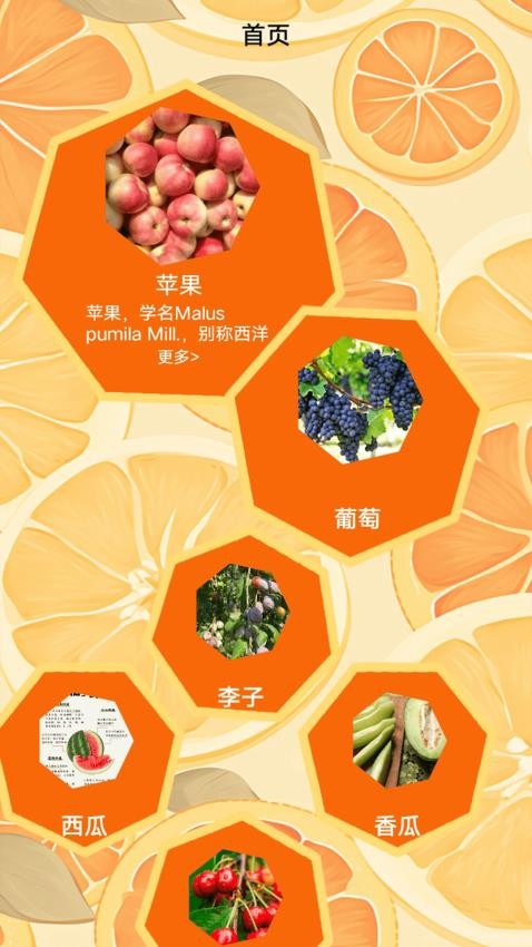 柚子快报告app图2