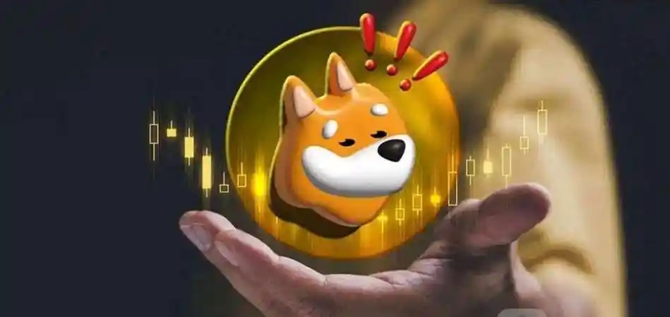 BONK币交易所app官方正版?2: