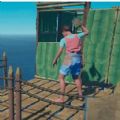 海滩鳄鱼模拟器