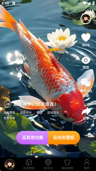 荷花锦鲤壁纸最新版app下载图片2