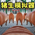 小猪派对